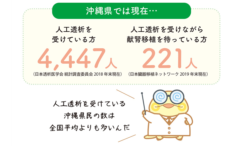 沖縄県では現在…人工透析を受けている方4,447人（日本透析医学会 統計調査委員会 2018年末現在）／人工透析を受けながら献腎移植を待っている方／221人（日本臓器移植ネットワーク 2019年末現在）　人工透析を受けている沖縄県民の数は全国平均よりも多いんだ