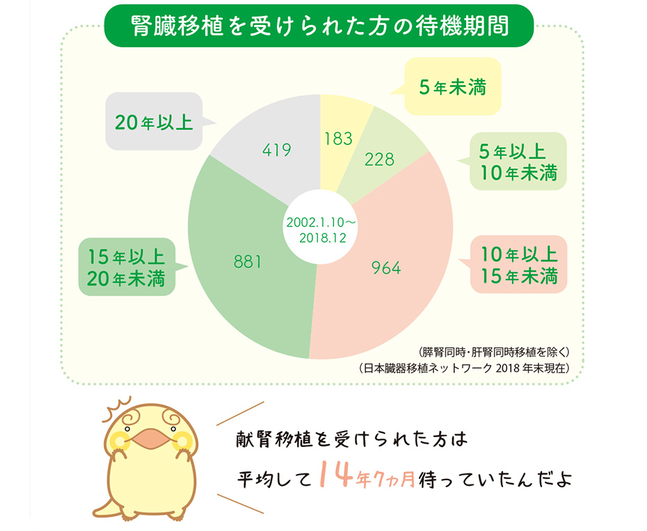 腎臓移植を受けられた方の待機期間に関する円グラフ／献腎移植を受けられた方平均して14年7ヶ月待っていたんだよ